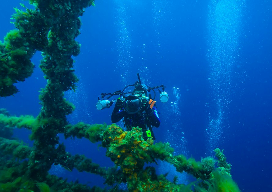 Underwater Fun for a Cause